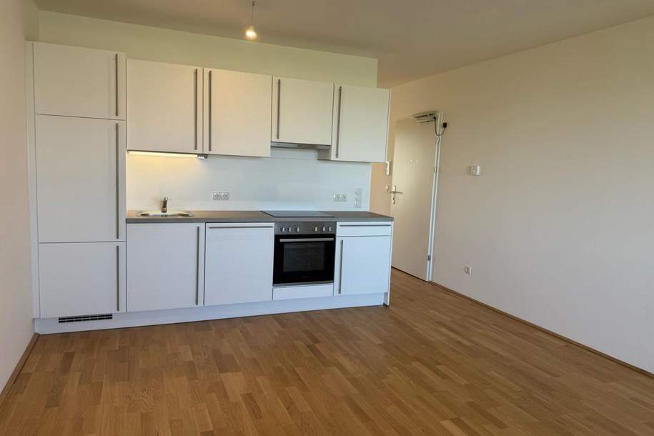 Helle 2 Zimmerwohnung mit Loggia Erstbezug |Provisionsfrei, Wohnung-kauf, 379.500,€, 1230 Wien 23., Liesing