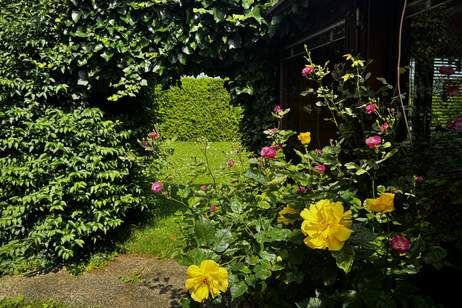 Sofort bezugsfertiger Bungalow mit Gartenparadies! 60 min von Wien!, Haus-kauf, 398.000,€, 2630 Neunkirchen
