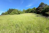 Traumgrundstück mit Weitblick in exklusiver Lage, Nr. 1