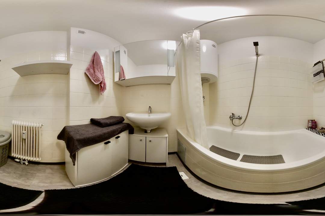 Vermietete 2-Zimmer-Wohnung mit Balkon in Graz