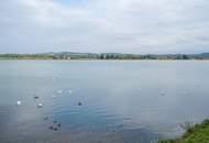 Ein Naturjuwel zum Wohlfühlen! Wohnen und arbeiten im Niedrigsternergiehaus.