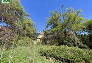 Aus alt mach neu - Historisches Einfamilienhaus in Alleinlage am Hügel in Bad Großpertholz mit großem Garten. - WOHNTRAUM