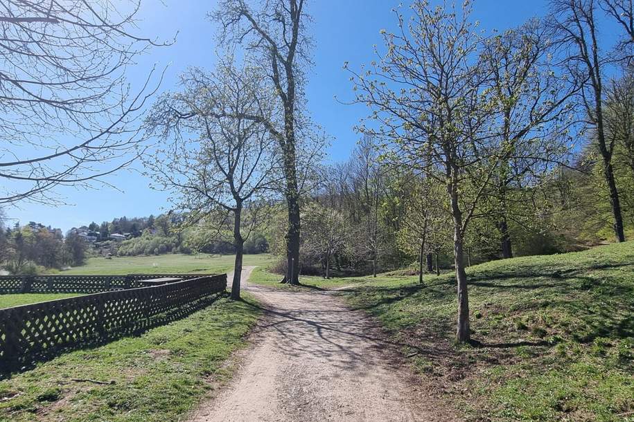 Grundstück mit Baugenehmigung - beim Lainzer Tiergarten - Lift im Haus möglich, Grund und Boden-kauf, 1.390.000,€, 1130 Wien 13., Hietzing