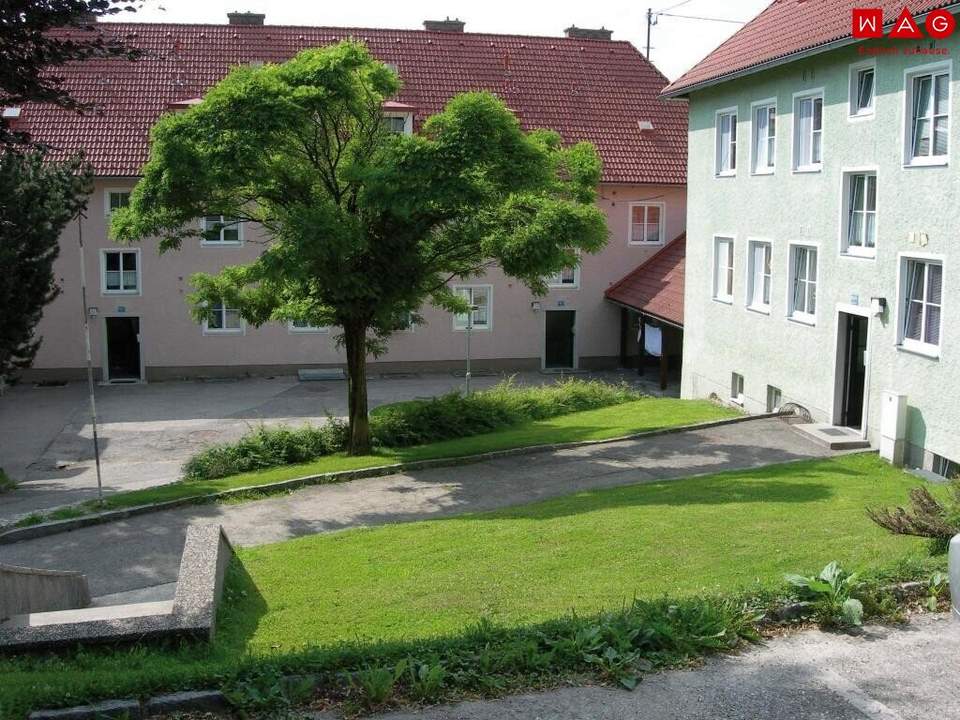 Raus aus dem Stadtlärm – rein ins Grüne! Gemütliche 1-Zimmer-Wohnung in zentraler Lage – ab sofort!