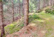 Wald im Gurktal (Provisionsfrei)