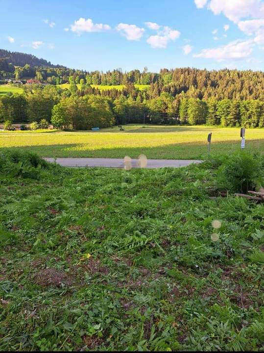 SCHNÄPPCHEN - IDEAL FÜR JUNGE FAMILIEN