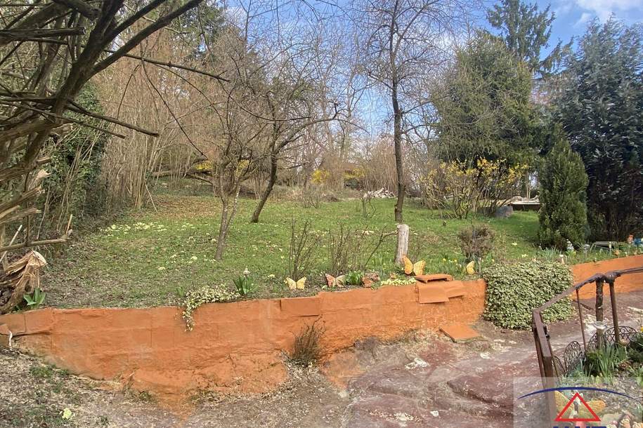 Exklusive Rarität Großzügiges Grundstück mit Altbaumbestand und herrlicher Aussicht, Grund und Boden-kauf, 8230 Hartberg-Fürstenfeld