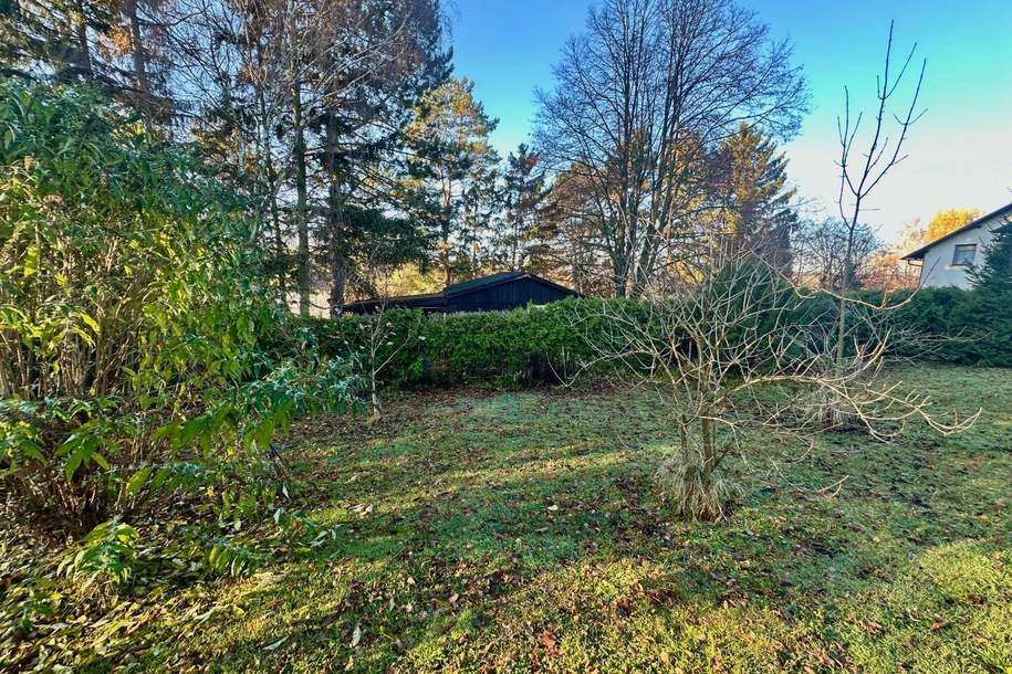 Tiny-Haus-Idylle im Weinviertel – Ihr Platz für die Zukunft!, Grund und Boden-kauf, 110.000,€, 2130 Mistelbach