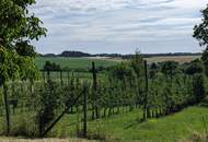 2,5 ha Landwirtschaftlicher Grund in sehr guter Lage