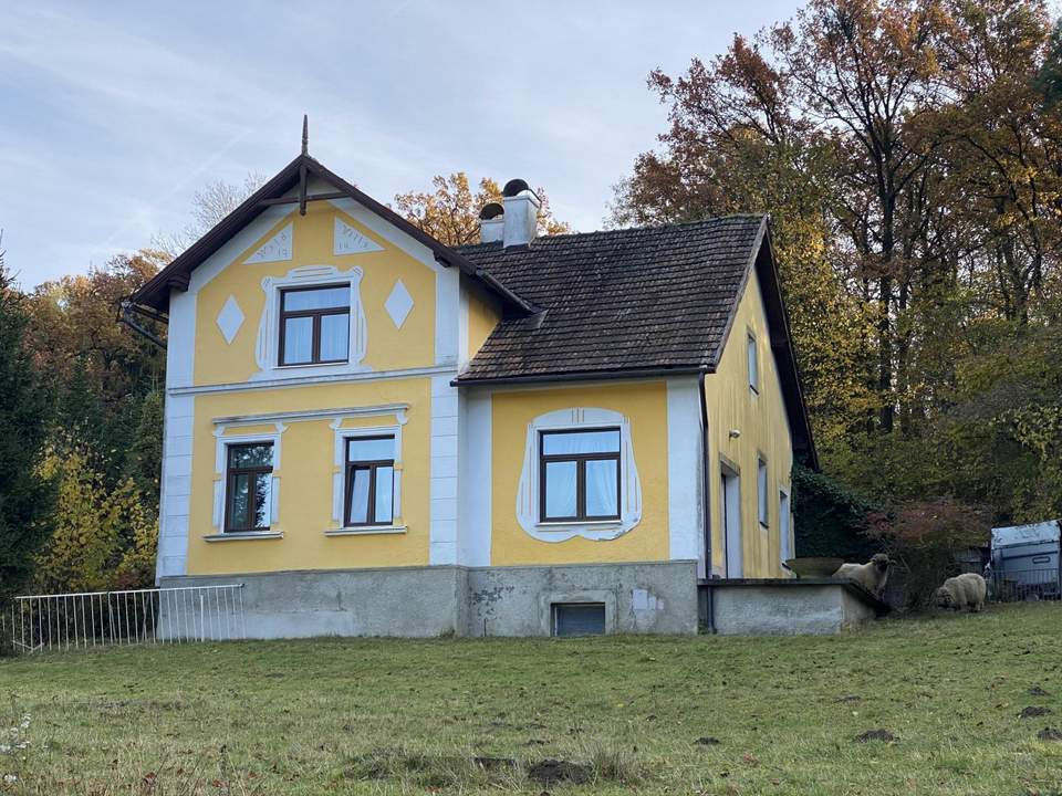 "Jahrhundertwende Stilhaus mit Wald"
