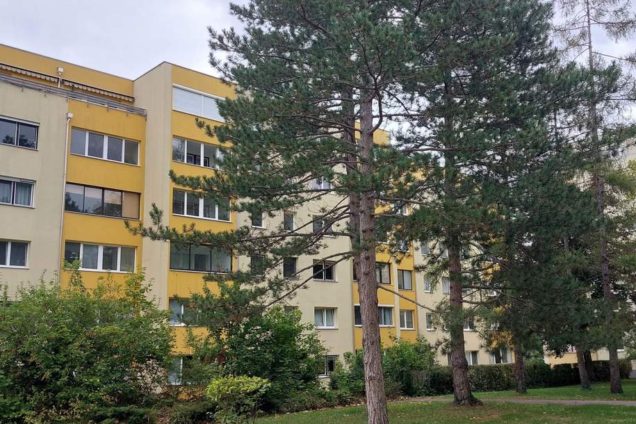 Schöne 2 Zimmer Wohnung mit Lift - Investment oder selber wohnen (dzt. vermietet!), Wohnung-kauf, 189.000,€, 2500 Baden