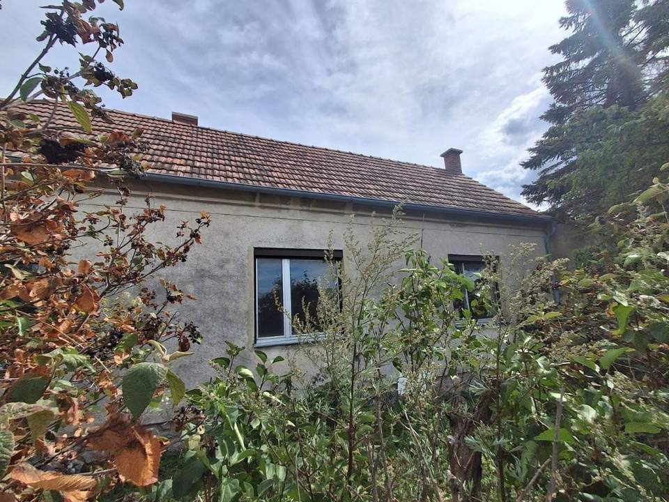 ,,Kleines Haus und großer Obstgarten in Hornstein!"
