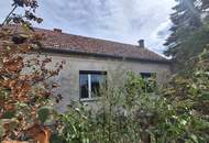 ,,Kleines Haus und großer Obstgarten in Hornstein!"