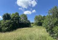 4,6 ha Grund - Haus mittendrin - Einzellage - für Selbstversorger perfekt