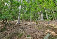 Ruhiges Baugrundstück mitten in der Natur mit eigenem Wald