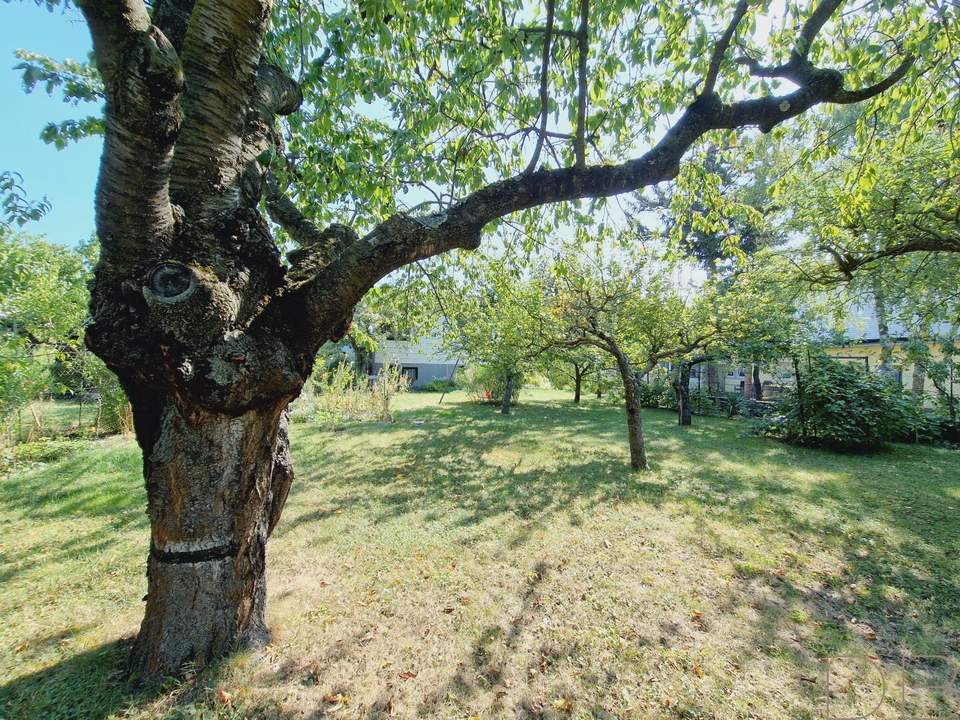DB IMMOBILIEN | Gartenparadies für Naturliebhaber !!!