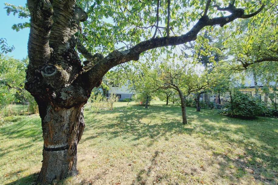 DB IMMOBILIEN | Gartenparadies für Naturliebhaber !!!, Haus-kauf, 620.000,€, 2380 Mödling