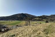 7 Parzellen verfügbar - Tolles Baugrundstück am Sonnenhang in Prenning bei Deutschfeistritz – 3.700 m², aufteilbar in 7 Parzellen