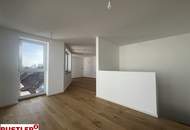 Luxus Penthouse mit sonniger Dachterrasse am Reinlpark- klimatisiert | ERSTBEZUG