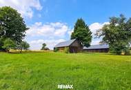 Vierkanthof mit großem Stadel, Garagen und Wiesenfläche für Tierhaltung