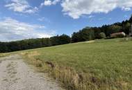 Herrliches Baugrundstück im Naturdorf Prigglitz!