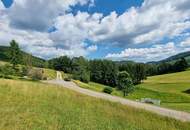 Ruhiges Baugrundstück mitten in der Natur mit eigenem Wald