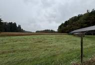 Großzügiges Einfamilienhaus in idyllischer Ruhe/- Alleinlage