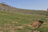 Modernes Chalet - Architektur im Weingarten - Ihr neues Feriendomizil