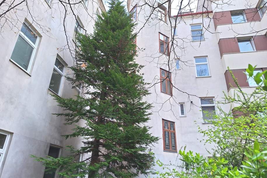 Sonnige 1-Zimmer Anlegerwohnung mit 3,46% Rendite, Wohnung-kauf, 119.000,€, 1160 Wien 16., Ottakring