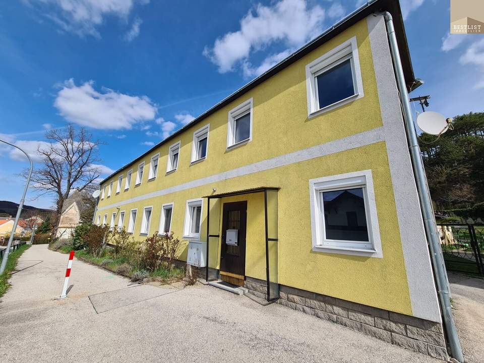 4 Wohnungen - 1 Gebäude - Perfektes Mehrfamilienhaus