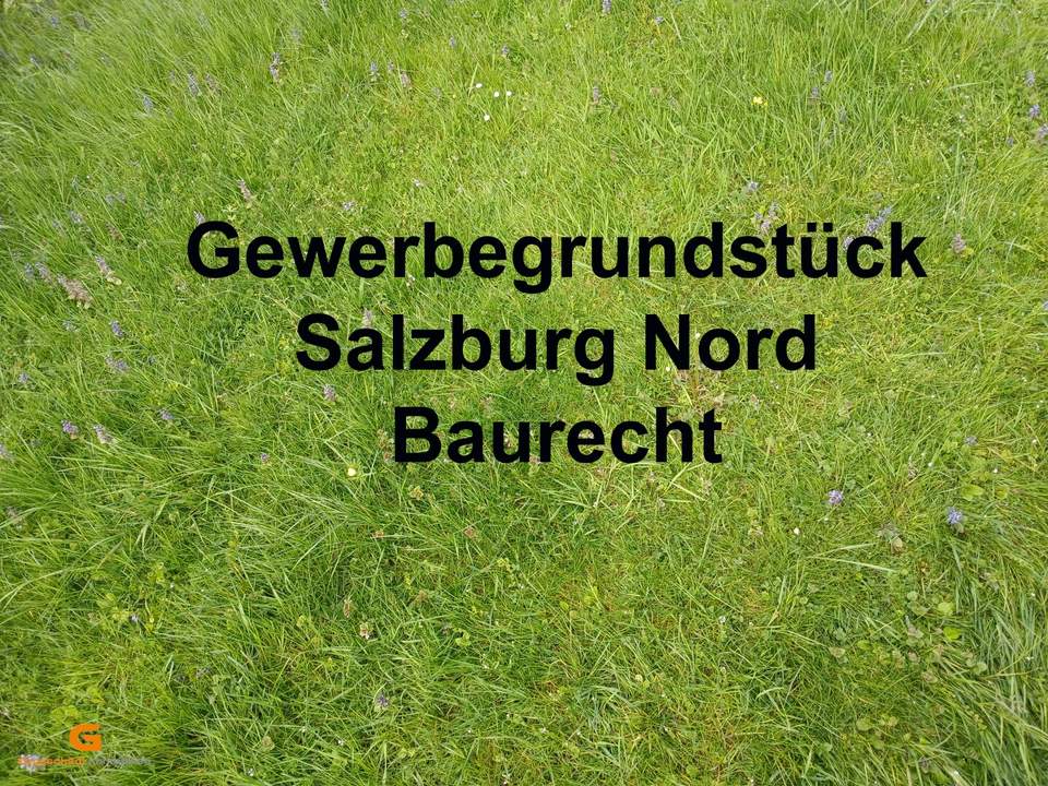 Baurecht Gewerbegrund Salzburg Nord