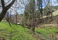 SANIERUNGSPROJEKT- Wohnhaus in ländlicher, ruhiger Lage