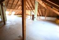 "++ HausImGrünen ++“