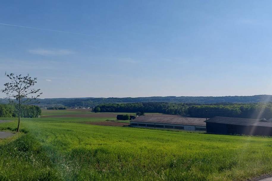 Diverse Grundstücke in der Gemeinde Tobaj, Gewerbeobjekt-kauf, 370.000,€, 7544 Güssing
