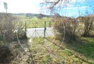 Charmantes, renovierungsbedürftiges Haus in schöner Umgebung!