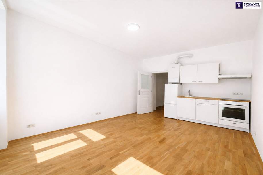 KLEIN - FEIN - PERFEKT + Charmante Wohnung in erstklassigem Zustand, Wohnung-legalform.mietkauf, 160.000,€, 1160 Wien 16., Ottakring