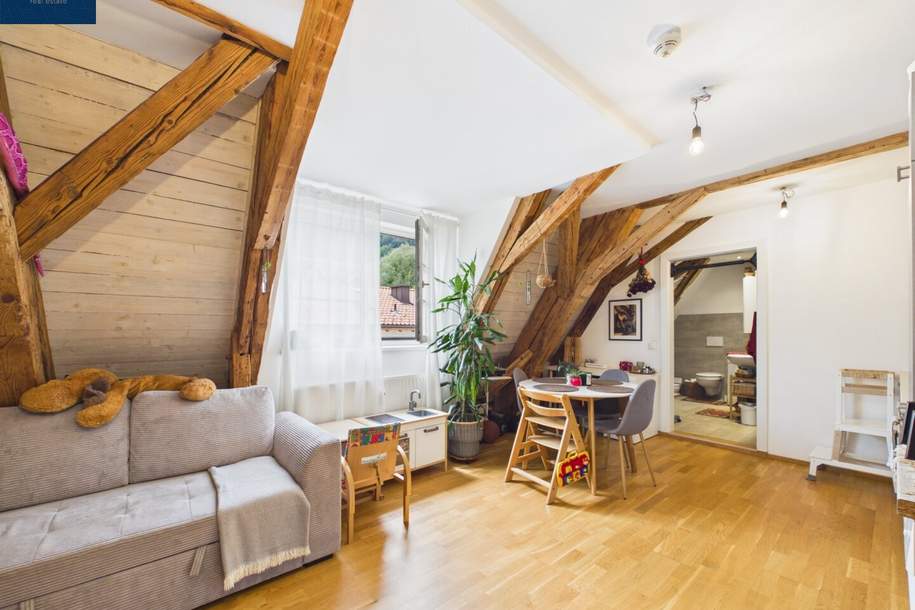 Historisches Ambiente | Attraktive 2-Zimmer-Wohnung in Hall in Tirol, Wohnung-kauf, 210.500,€, 6060 Innsbruck-Land