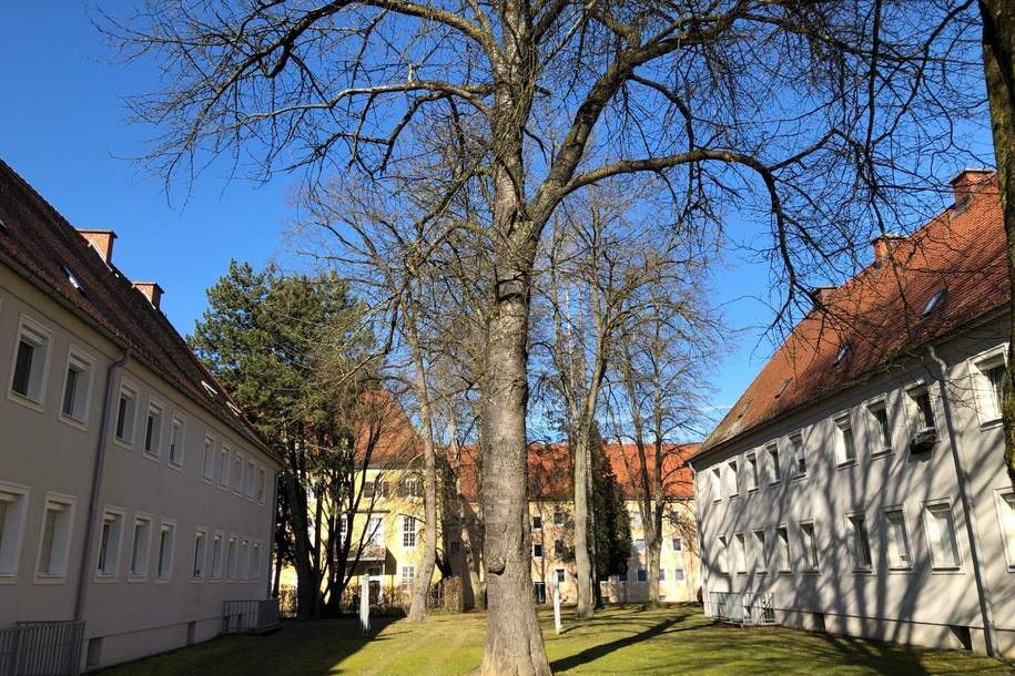 Ruhiges, grünes Wohnen mit optimaler Infrastruktur verspricht Erholung pur und kurze Wege! Schnell sein und diese in Sanierung befindliche Wohnung sichern - bezugsfertig Mitte August!, Wohnung-miete, 539,59,€, 4400 Steyr(Stadt)