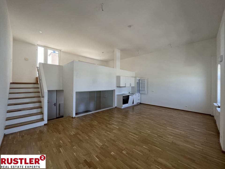 Loftartige 1- Zimmerwohnung mit Dachterrasse