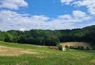Die eigene Ranch auf 9,2ha Grund und Wald verwirklichen (Provisionsfrei)