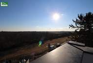 Charmante 3-Zimmer-Dachgeschosswohnung in der Larischgasse 2 - JETZT ANFRAGEN! - JETZT ZUSCHLAGEN