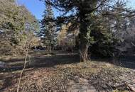 807m² BAUGRUND. NÄHE U2 DONAUSPITAL. TRAUMLAGE DIREKT AM MÜHLWASSER (VIS A VIS).