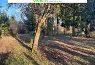 Großzügiges Grundstück in Spattendorf – Gemeinde Alberndorf in der Riedmark (GST 2438/3)