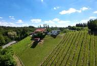 INVESTOREN aufgepasst! Weingut mit Gästezimmer, drei Betriebswohnungen in Leutschacher Aussichtslage PROVISIONSFREI