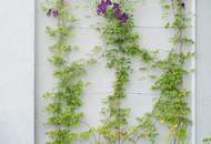 THERESIANA - PENTHOUSE - ebenerdig und mit eigenem Aufzug **PROVISIONSFREI!** (Provisionsfrei)