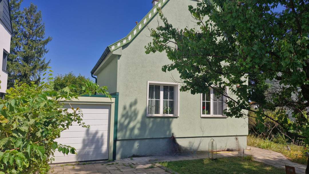 FAST AM GIPFEL .... vom Rosenhügel