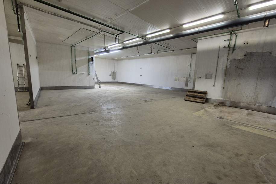 LAGERHALLE ca. 325 m², Gewerbeobjekt-miete, 2.160,00,€, 2013 Hollabrunn