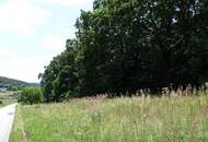 Grundstück (kein Bauzwang) mit schönem Ausblick nahe der Golf-/Thermenregion Stegersbach!