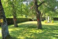 Außergewöhnliche Immobilie mit parkähnlichem Garten, ehemaliger Praxis und viel Raum zum Leben – 2152m² Grund!