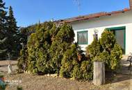 Mörbisch - Ruhig gelegenes Einfamilienhaus, 5 Zimmer, komplett eingerichtet, 2 Badezimmer, 2 WCs - sofort zu beziehen!!